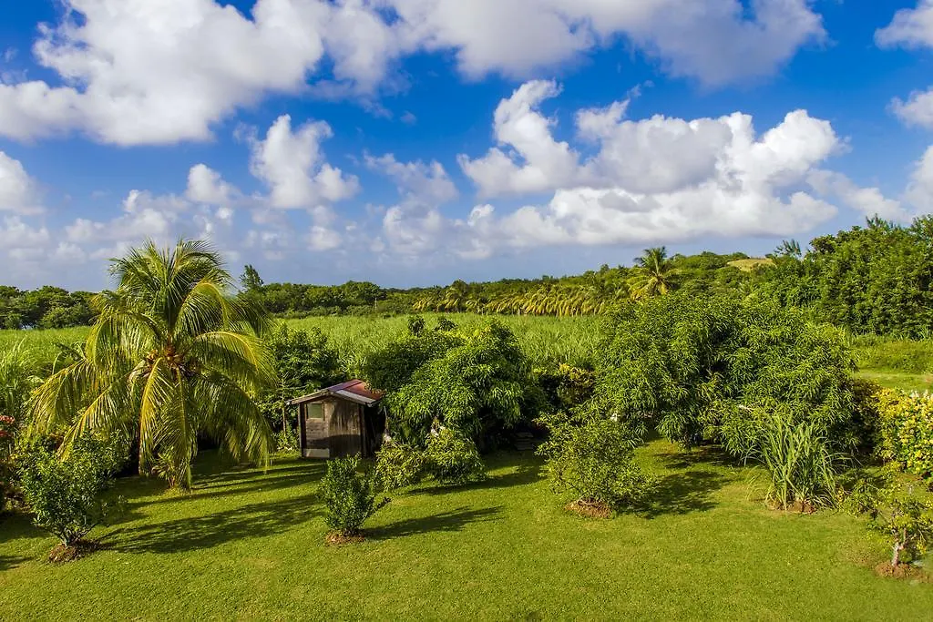 Appartement Le Désircaraïbe à Tartane